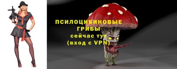 индика Верхнеуральск