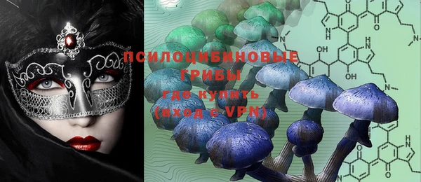индика Верхнеуральск