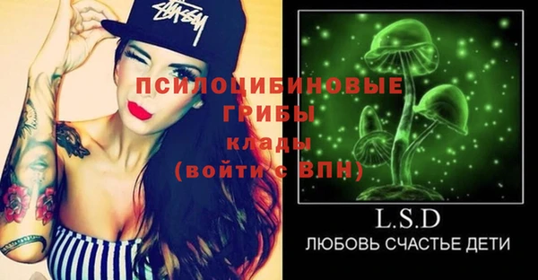 индика Верхнеуральск